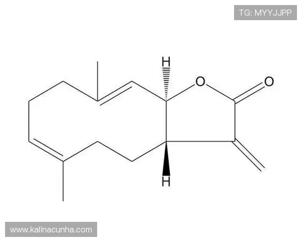 探索K8凯发国际登录最新技术升级，提升游戏体验与账户安全的实用指南